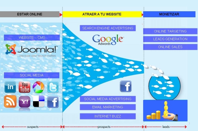 W2ANALYTICS-SERVICIOS